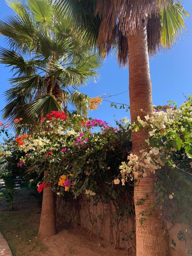 ללה טקרקוסט Les Terrasses Du Lac Marrakech מראה חיצוני תמונה