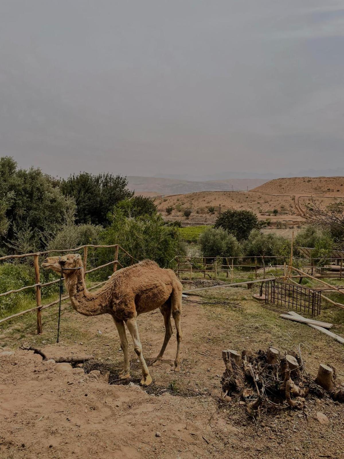 ללה טקרקוסט Les Terrasses Du Lac Marrakech מראה חיצוני תמונה